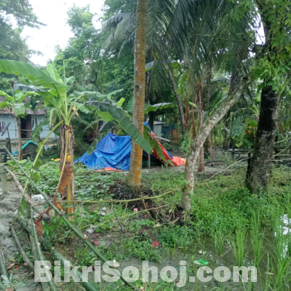 বাড়ির জমি বিক্রি